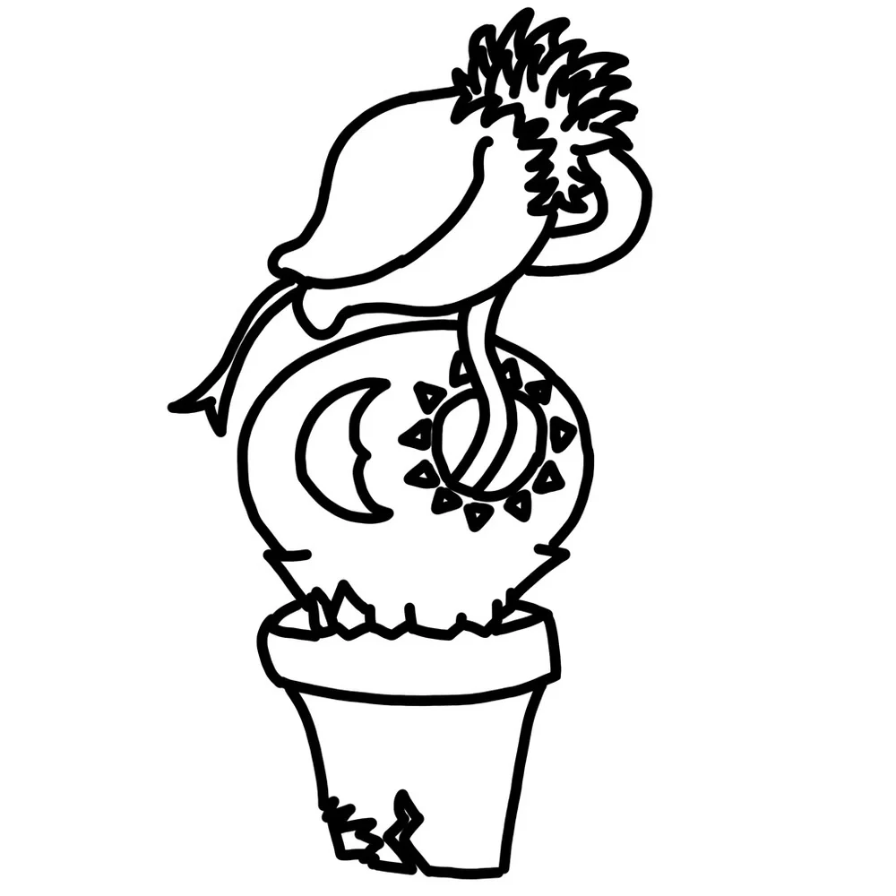 SEEDS(6 Pack) - Picture 1 of 1